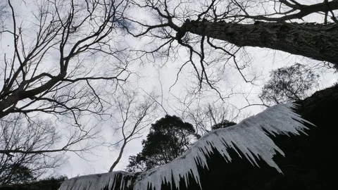 Wintertime Ice on a Rock Ledge at Mammoth Cave Park Stock-Footage 102333978