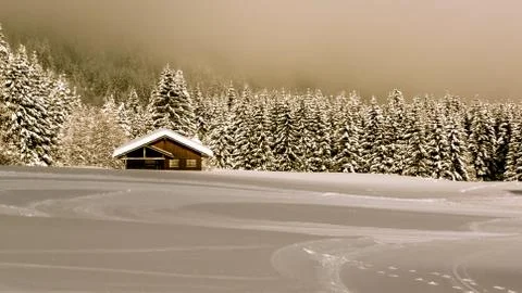 Wintertime Stock Photos