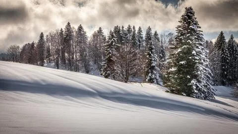 Wintertime 库存照片