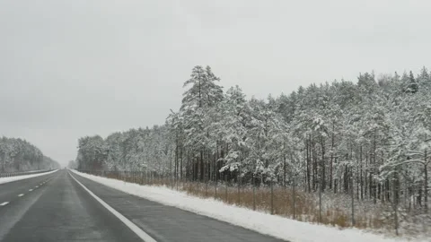 Wintertime roadway lined with snow coated trees and foggy distant horizons Vídeo Stock 323320040