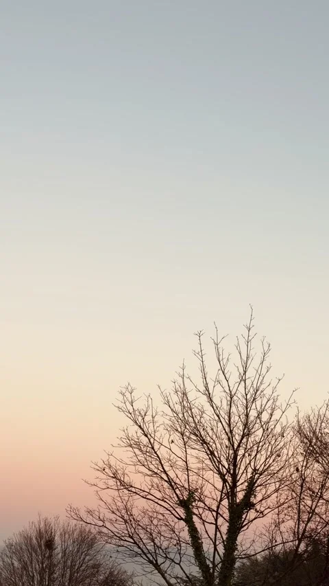 Wintertime sunset - vertical format Stock Footage 324424873