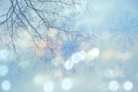 Wintertime, tree branches and light bokeh blurred background. Snowflakes. Stock Photos