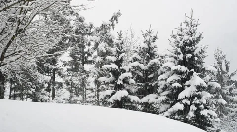 Winterwonderland Austria 库存影片 34405699