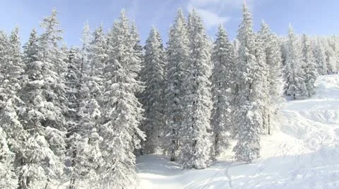 Winterwonderland Stock Footage 21653115