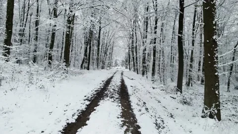 Winterwonderland Video stock 146535377