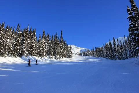 Winterwonderland Stock Photos