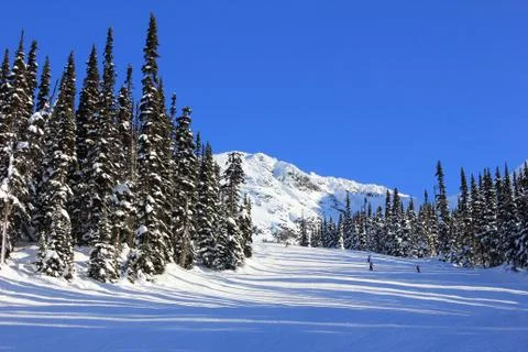 Winterwonderland Stock Photos