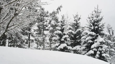 Winterwonderland Sliding 库存影片 34405782