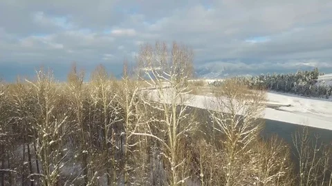 Wintery Drone Pull back through trees Stock Footage 72688916