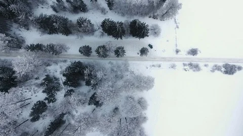 Wintery forest - aerial view Видео 72111437