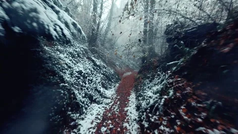 A Wintery Forest Trail Fpv Drone Flight Stock Footage 299294025
