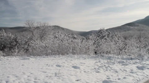 Wintery Landscape Stock Footage 44562496
