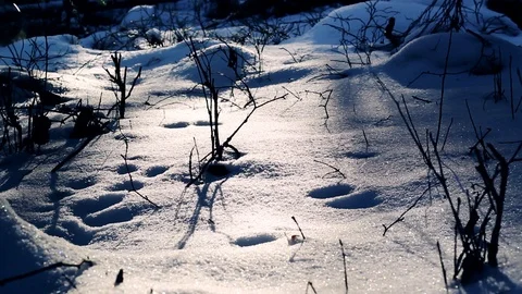 Wintery landscape with soap bubbles passing by Stock Footage 88982428