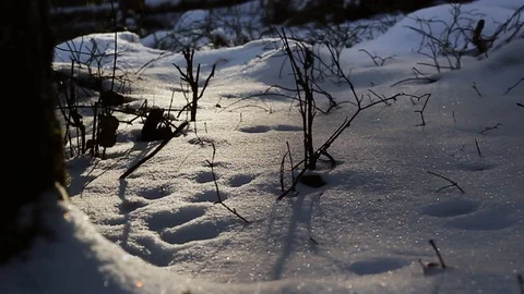 Wintery landscape with soap bubbles passing by close to the camera Stock Footage 88982430