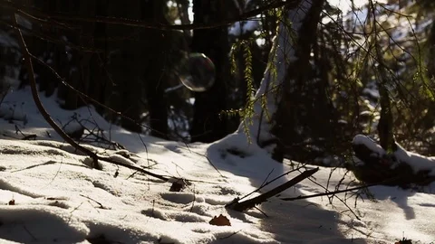 Wintery landscape with soap bubbles passing by, in an enchanting forest Stock Footage 88982453