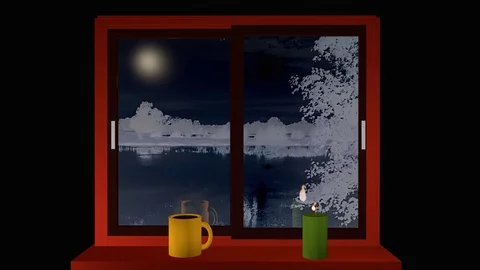 Wintery window Stock Footage 78775067