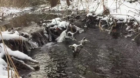 Winterzeit Stock Footage 147209332