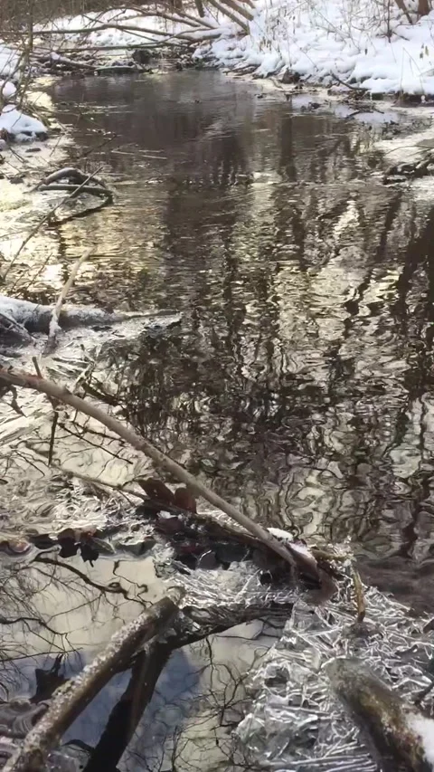 Winterzeit Stock-Footage 147209348