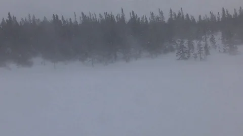 Wintey day Video stock 102653968