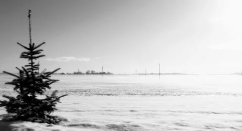 Winther Stock Photos