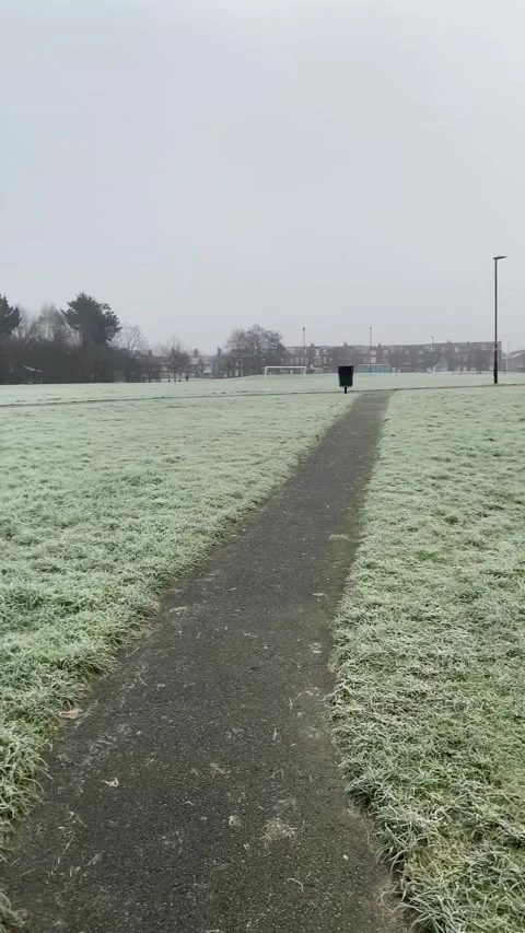 Wintry Day At The Park  4k Video stock 170248388