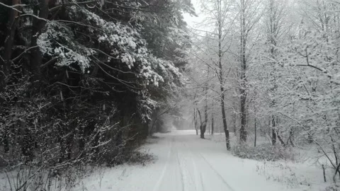 Wintry forest road rolling backwards Видео 145292556