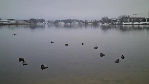 Wintry lake in Vilnius, Lithuania Stock Footage 165685099