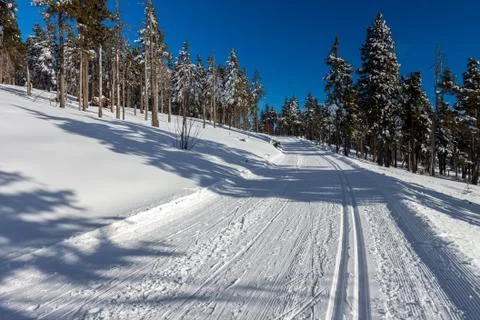 Wintry landscape scenery with modified cross country skiing way Stock Photos
