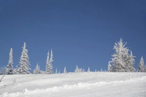 Wintry landscape scenery with modified cross country skiing way Stock Photos