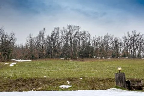 Wintry landscape with trees and snow Stock Photos