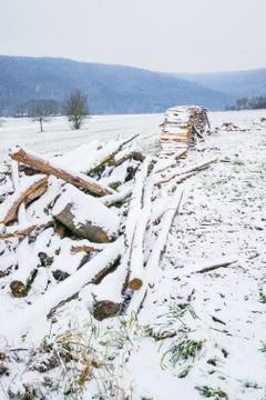 Wintry log pile Foto stock