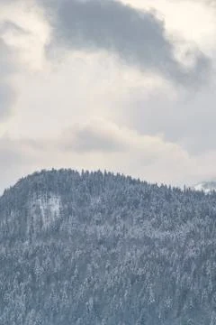 Wintry Mountainside Stock Photos