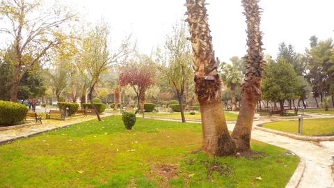 Wintry Park Near Urfa Castle With Palms and Some Trees Panorama Stock Footage 75409472