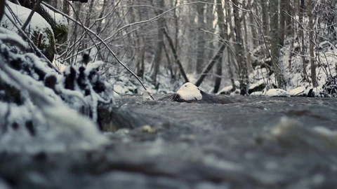 Wintry river flows fast after a spring thaw, with a rock in focus in the mids Stock Footage 126594785