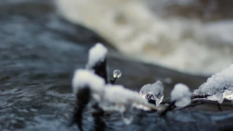 Wintry river flows fast after a spring thaw, with blurry snow and a drop of i Stock Footage 126594786