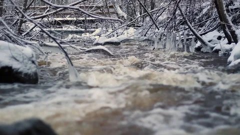 Wintry river flows fast after a spring thaw, with icy branches dangling above Stock Footage 126594811