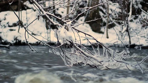 Wintry river flows fast after a spring thaw, with frosty branches dangling ab Stock Footage 126594826