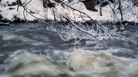 Wintry river flows fast after a spring thaw, and frosty branches dangling abo Stock Footage 126594828