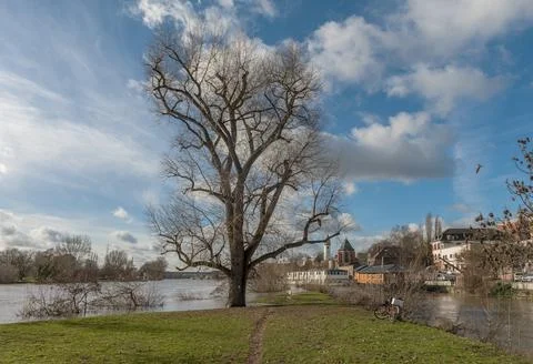Wintry river landscape (Main, Nidda) near Frankfurt-Hoechst Stock Photos