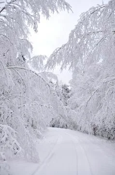 Wintry road Stock Photos