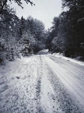 Wintry road winds through snowy forest, trackless, yet full of promise Фото