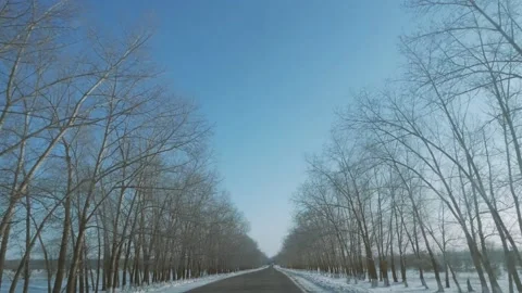 Wintry route, car driving through the snow between the trees. Point of View car Stock-Footage 205004563
