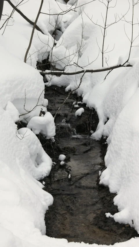 A wintry scene of a frozen stream 库存影片 265671863