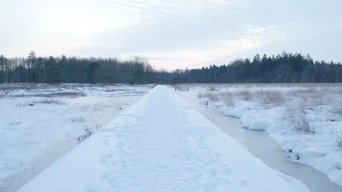 Wintry Scene Pathway. Winter Landscape Features Snowladen Boardwalk Guiding Eye Stockbeeldmateriaal 328048177