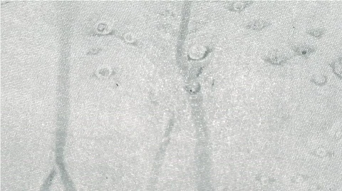 Wipe it Down Видео 104947