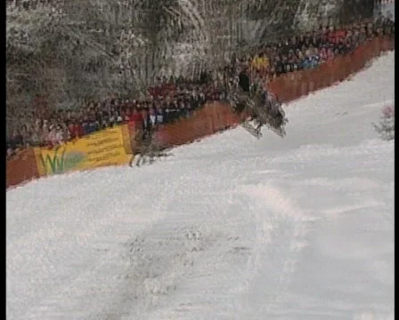 Wipe out on sledge, funny winter olympics.6 Stock Footage 625453