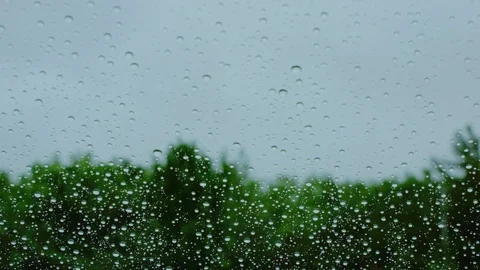 Wiper. Stock Footage 100550035