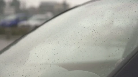 Wipers in the car during rain Video stock 71768121