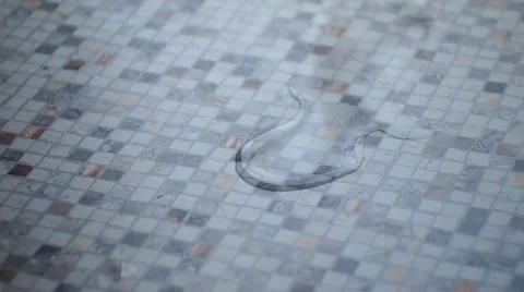 Wipes the table Video stock 34838931