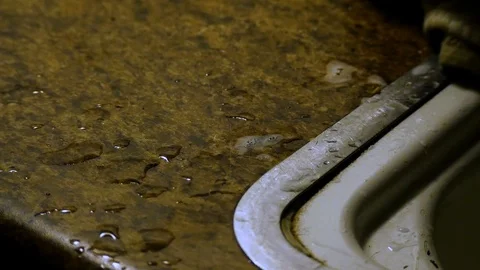Wiping Counter 1 Stock Footage 85823405